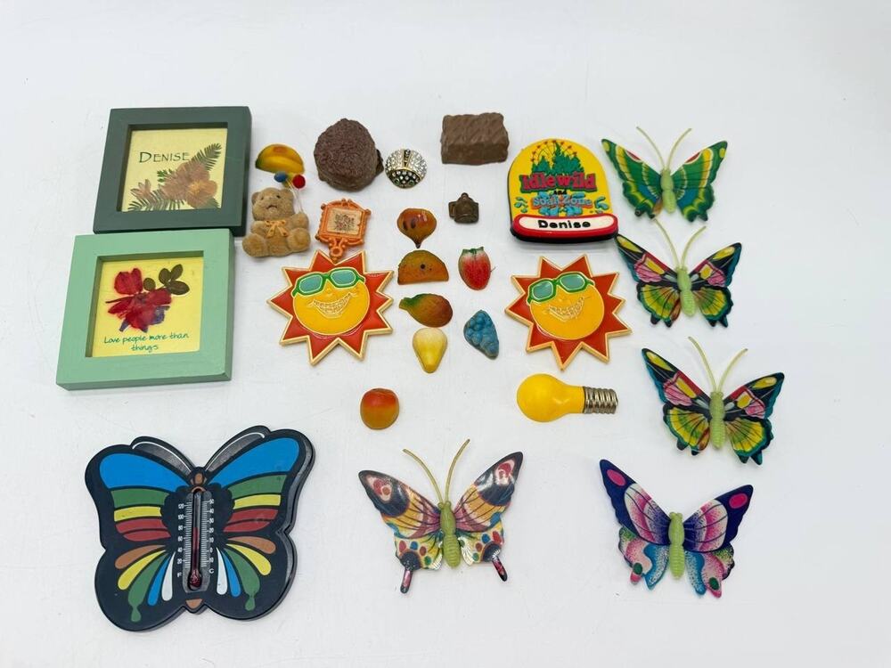 26 Pc Refrigerator Magnet Lot Mixed Butterflies Fruit Souvenir Thermometer